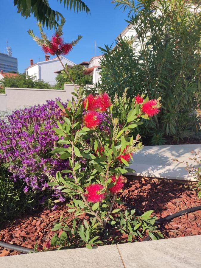 PUY Apartment With Heated Pool, Villa Regina מראה חיצוני תמונה
